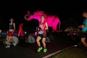 BIB: 
                            <button type="button" onclick="openModal(26543419)" class="btn btn-primary btn-sm float-right btn-popup" data-toggle="modal" data-target=".modal-high-quality">
                        <i class="fas fa-shopping-cart"></i> Add to Cart
                    </button>
                                            <button type="button" onclick="isThisMe(26543419, true)" class="btn btn-success btn-sm float-right btn-popup btn-isme hidden" data-toggle="tooltip" data-placement="bottom" title="นี่คือรูปของคุณใช่ไหม คลิกที่นี่เพื่อเอาเข้าอัลบั้ม">
                        <i class="fas fa-plus"></i> Add to album
                    </button>
                    <button type="button" onclick="isThisMe(26543419, false)" class="btn btn-warning btn-sm float-right btn-popup btn-isnotme hidden">
                        <i class="fas fa-ban"></i> Remove from album
                    </button>